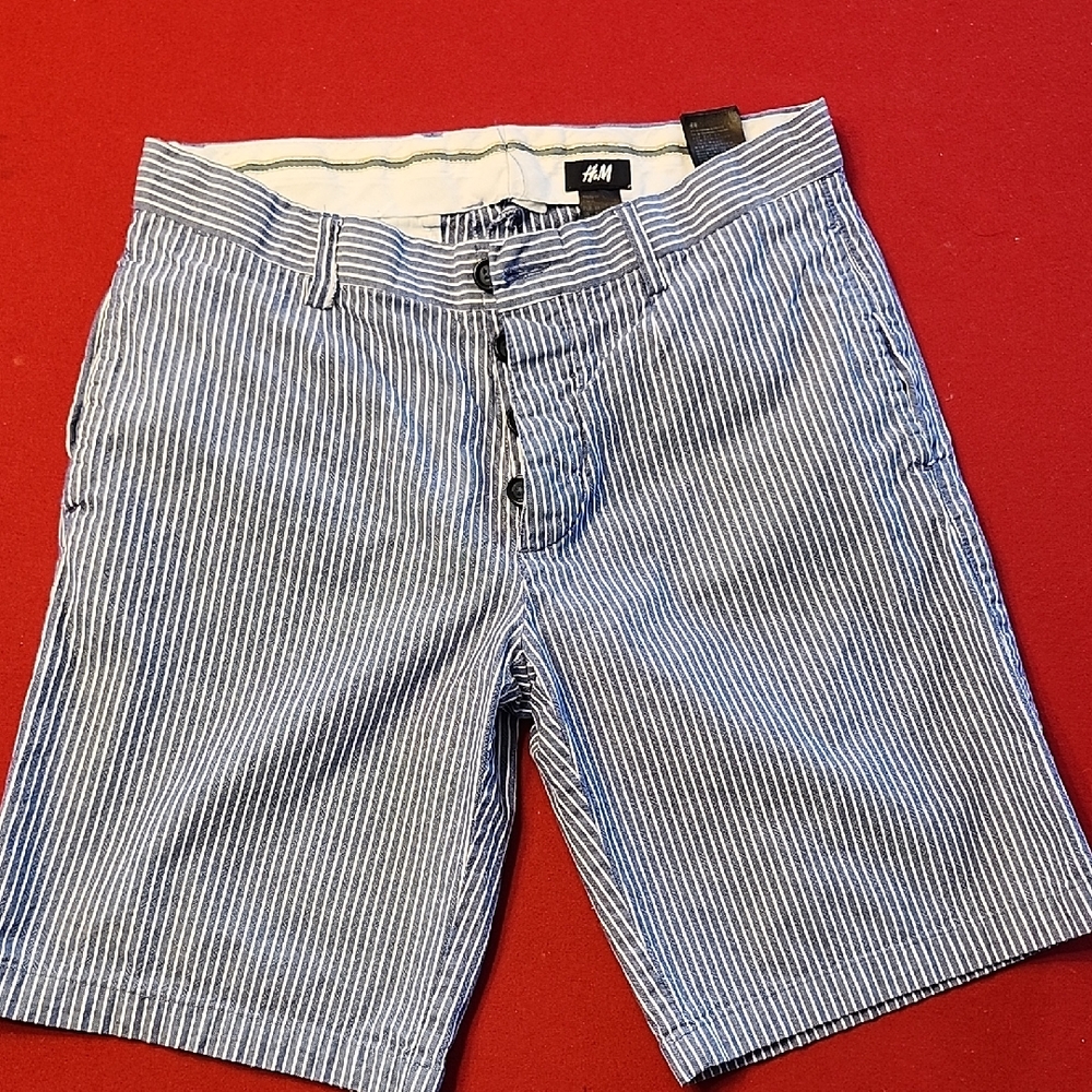 H&M Blue Striped Women's Shorts